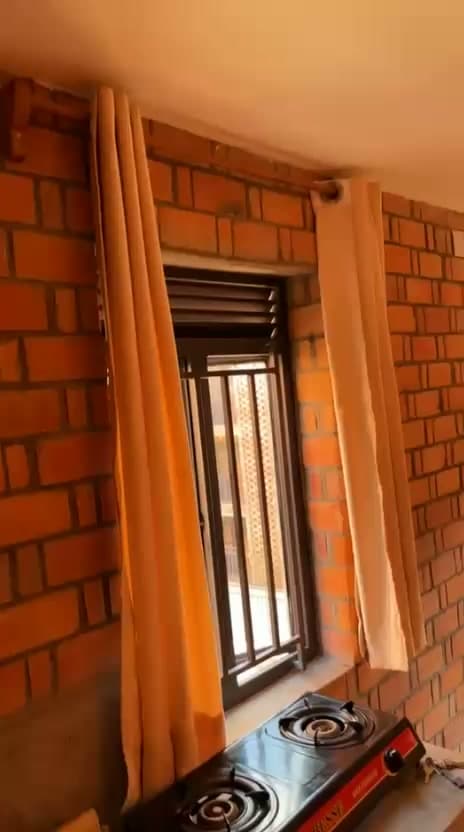 1 Bedroom and livingroom